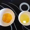 Đập 4 quả trứng gà tách lòng đỏ và lòng trắng cho vào 2 tô khác nhau. Tô lòng trắng cho bột mì, bột bắp rây qua rây lọc cho bột mịn + dầu ăn + sữa tươi không đường +vani vào, dùng phới lồng đánh cho hỗn hợp mịn. Tô lòng trắng cho đường + muối vào dùng máy đánh trứng đánh khi nào hỗn hợp bông lên