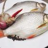 Cá diếc bạc rửa sạch, đánh vảy, bỏ ruột và giữ lại phần mỡ cá, cho ra đĩa.