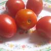 Cà chua rửa sạch, để ráo, cắt khoanh trên đầu trái, dùng muỗng múc sạch hạt bên trong. Hành lá, ngò rí rửa sạch cắt nhỏ.