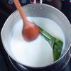 Cách nấu chè nhãn nấu nếp là món ăn yêu thích của người Thái Lan. Đầu tiên cho nước cốt dừa, 40gr đường, 1/2 thìa cà phê muối, 10gr bột bắp vào nồi khuấy tan. Cho lên bếp đun, cho lá dứa vào cho thơm. Vừa đun vừa khuấy đến khi hơi sệt là được. Cho gạp nếp (đã vo sạch, để ráo) và nước vào nồi, nấu đến khi nếp nở dẻo mềm.