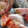 Sơ chế nguyên liệu nấu lẩu đầu cá hồi: Cạo vỏ gừng, cắt sợi nhỏ. Nhặt sạch hành lá và ngò rí, rửa sạch, cắt khúc. Gọt vỏ thơm, bỏ mắt, cắt miếng vừa ăn, xả sạch dưa cải chua với nhiều nước, vắt ráo rồi cắt nhỏ. Rửa sạch cà chua, thái múi cau. Rửa sạch đầu cá hồi, để ráo. Ướp đầu cá hồi với 1 muỗng canh nước cốt chanh, 1 muỗng cà phê tỏi băm, 1 muỗng canh nước mắm, 1 muỗng cà phê hạt nêm trong tô khoảng 10 phút.