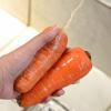 Rửa thật sạch cà rốt sau đó gọt vỏ và cắt nhỏ cà rốt cho vào cối xay sinh tố. Xay nhuyễn cà rốt trong cối xay.
