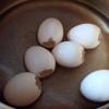 Trứng gà dùng muỗng gõ nhẹ phía đầu to, khoét 1 lỗ tròn đủ để vừa miếng xoài, lắc nhẹ cho lòng đỏ, lòng trắng ra. Rửa sạch. Đun sôi kỹ với nước có chút muối và lá dứa khoảng 10 phút để tạo hương thơm rồi để ráo.