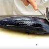 Đặt cá ngừ lên thớt, dùng dao sắc bén róc nhẹ 1 lớp da gần chỗ mang cá. Hướng di chuyển dao từ phía đuối về phần mang cá. Sau đó từ ngay vị trí mang cắt rời phần đầu cá.