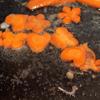 Trong chảo đã xào cật heo, tiếp tục làm nóng 2 muỗng canh dầu ăn còn lại, cho cà rốt vào xào sơ. 