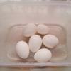 Trứng gà đã bóc vỏ sạch, xếp vào hộp không quá lớn để nước sốt có thể phủ đều trứng gà. Cho từ từ nước sốt vào hộp, nước xâm xấp trứng là được. Đậy nắp và ngâm trứng từ 6-7 tiếng.