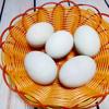 Cho trứng vịt lộn vào nồi cùng với 1/3 muỗng cà phê muối, đổ nước ngập trứng rồi đem luộc khoảng 20 phút là trứng chín.