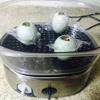 Bọc trứng muối lại bằng màng bọc thực phẩm. Đặt 3 quả trứng muối nhồi lên xửng hấp. Nấu sôi nước trong nồi hấp, cho xửng trứng muối vào nồi, hấp trứng khoảng 20 phút là trứng chín nha. Cẩn thận lấy trứng ra, lột bỏ vỏ và cắt đôi bày ra dĩa là xong nha.