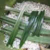 Cho gạo nếp vào nồi cơm điện có lót sẵn lá chuối, thêm lá dứa lên trên mặt, và cho nước lá dứa vào xâm xấp, bật nút nấu chín.