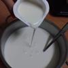 Bắc ra. Để sữa nguội về khoảng 40°C (sờ thấy âm ấm). Khuấy đều men (sữa chua), cho vào nồi sữa, khuấy nhẹ cho đều.