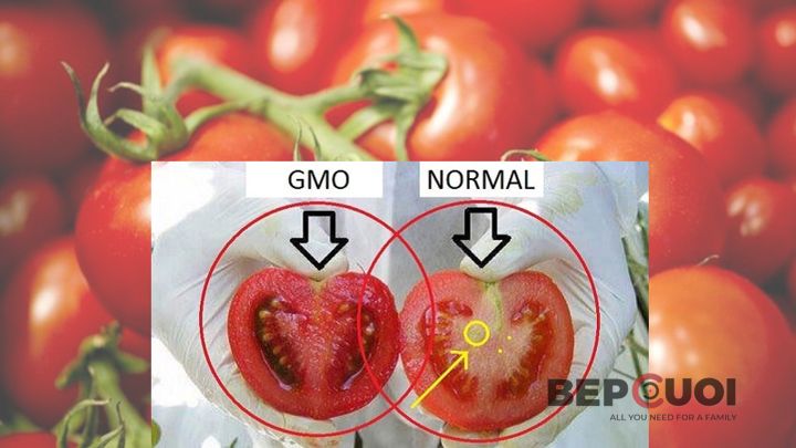 cà chua thường và cà chua biến đổi gen