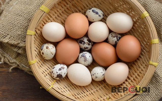 Loại Trứng Nào Tốt Cho Sức Khỏe: Trứng Gà - Trứng Vịt - Trúng Cút?